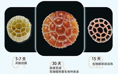 利用宽泛