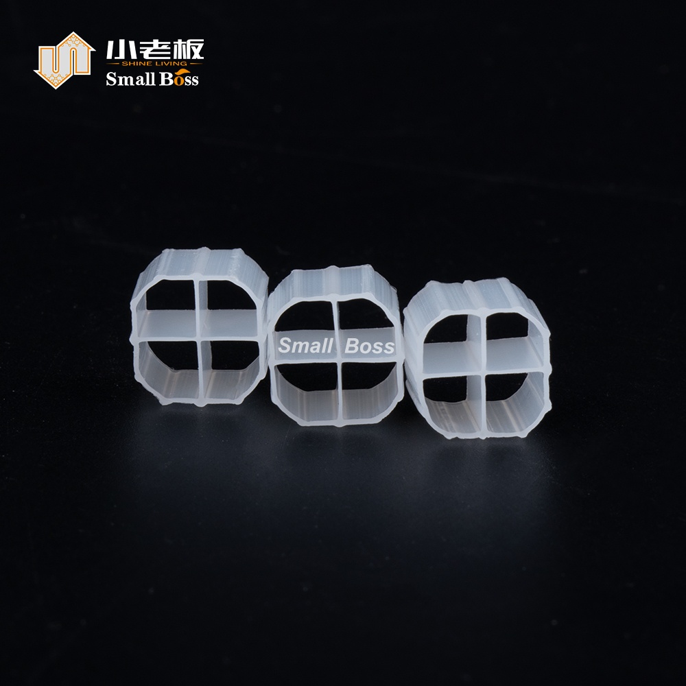 PE01