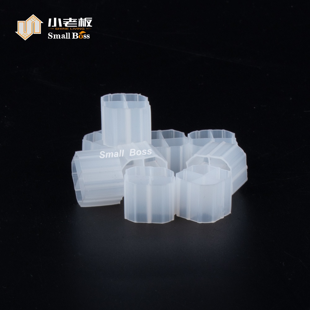 PE01