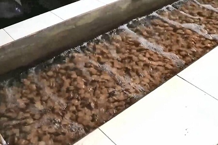 1792484100565459 Fluidized MBBR carriers in an aeration tank