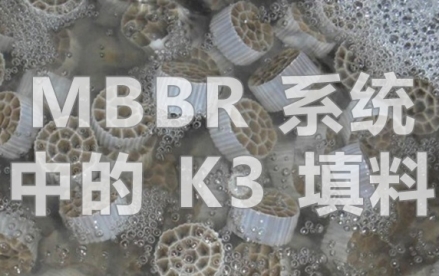 K3填料若何以生物膜技术沉塑MBBR系统效力 —— 解密高效废水处置的主题突破
