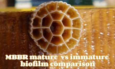 Common MBBR Ammonia Removal Failure Causes Operators Often Overlook