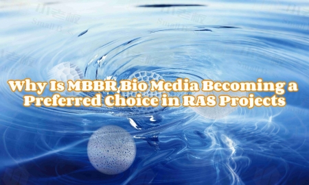 Why Is MBBR Bio Media Becoming a Preferred Choice in RAS Projects