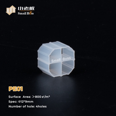 PE01