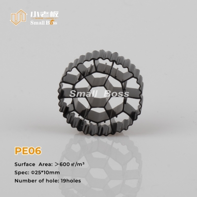 PE06